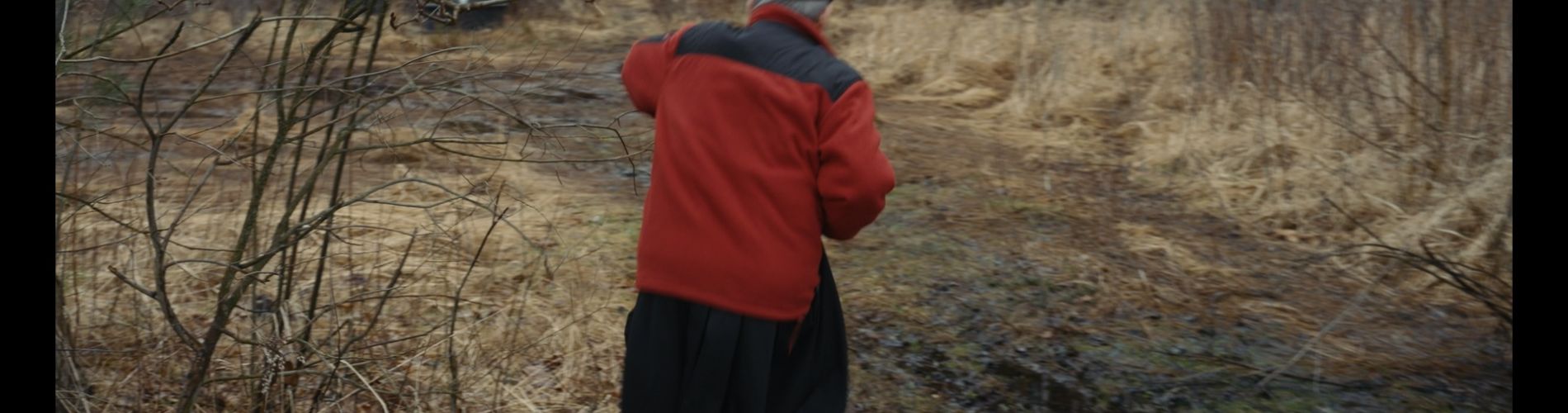 Polsko proti dějinám