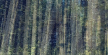 Vítej