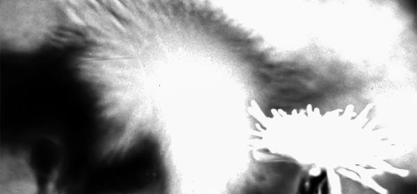 Hypnagogie