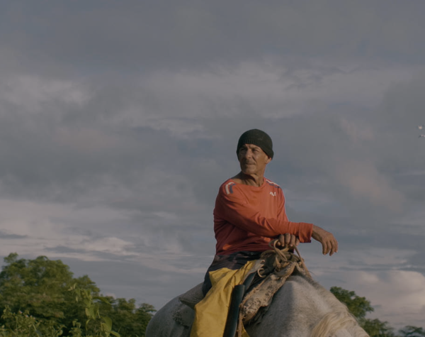 A bouře snila o koních