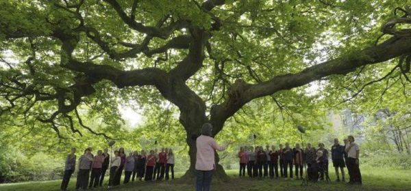 LOST FOR WORDS - Serie