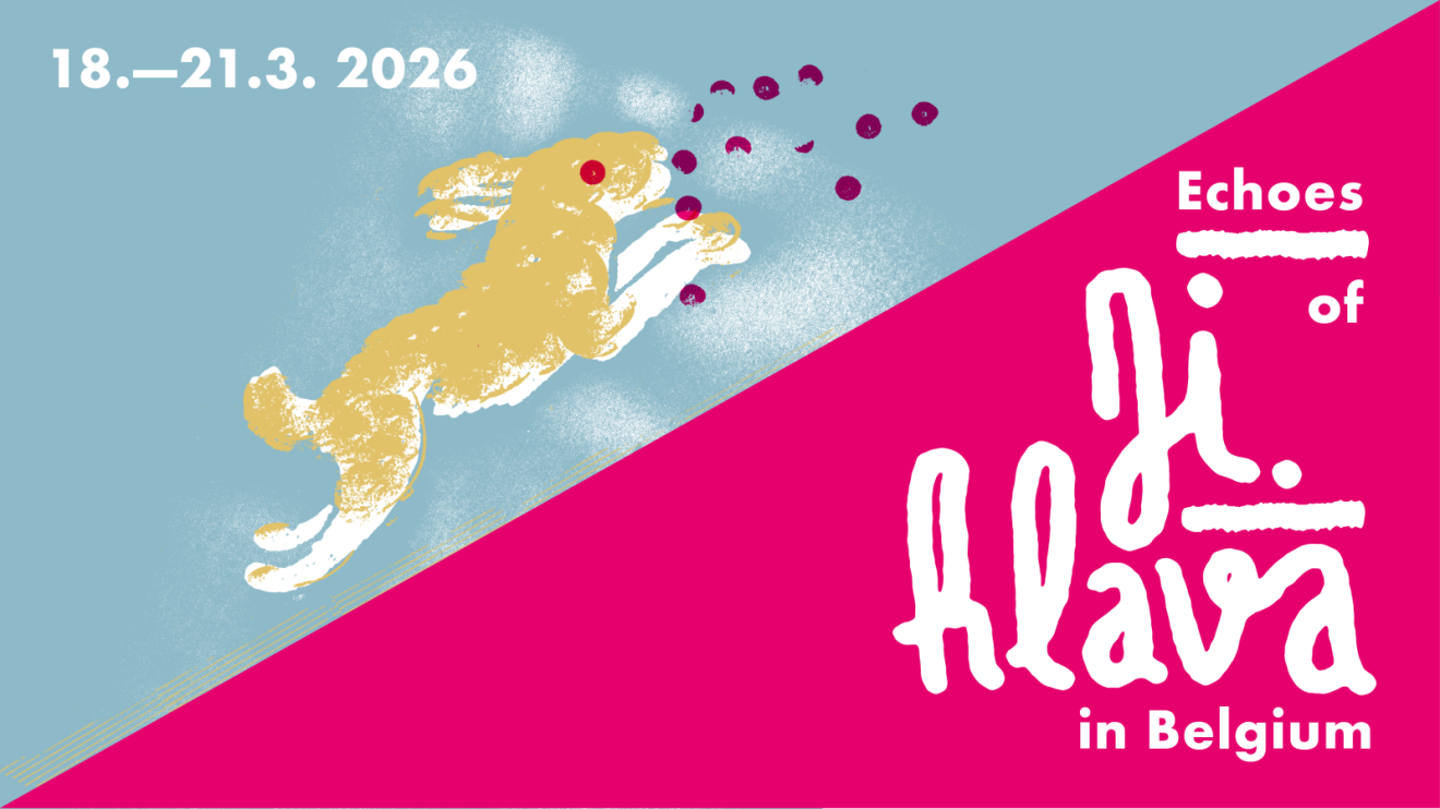 Ozvěny Ji.hlavy v Belgii