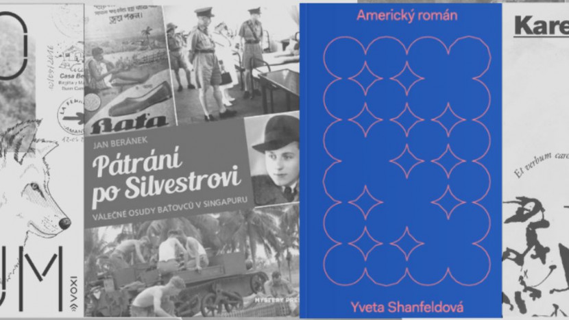 Kliknutím zvětšíte Americký román