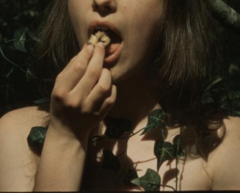 Květina a já nestačíme, musí být i slunce