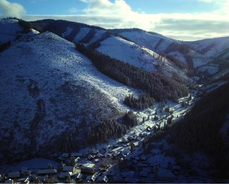 Zuzana Piussi. Hlas lesa