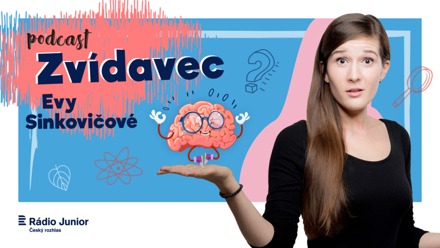 Zvídavec Evy Sinkovičové živě!