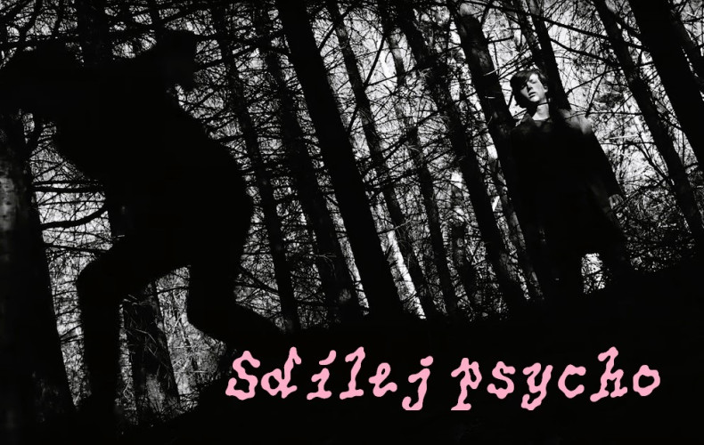 SDÍLEJ PSYCHO - studentské filmy z open callu Ji.hlavy Vibes / projekce