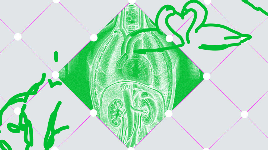 Láska mezi námi: Živé básnění 