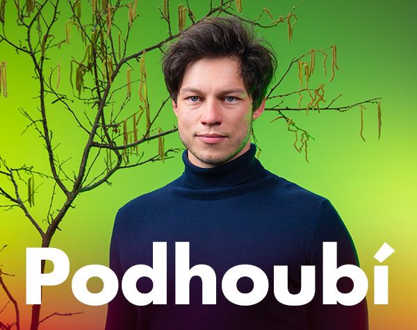 Radio Wave: Podhoubí