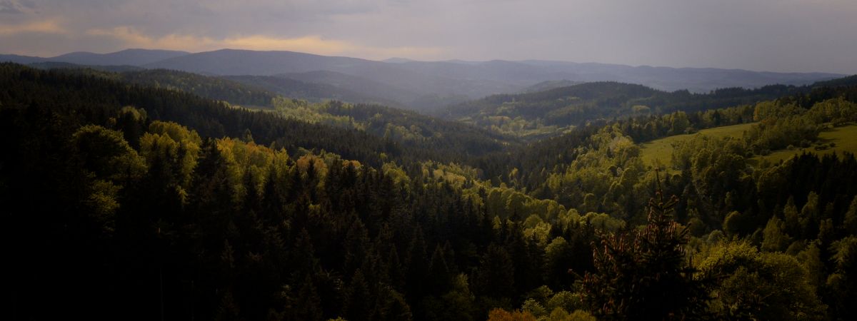 Králové Šumavy
