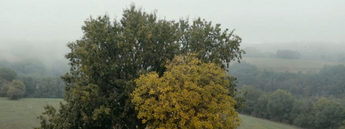 Nahnutý člověk