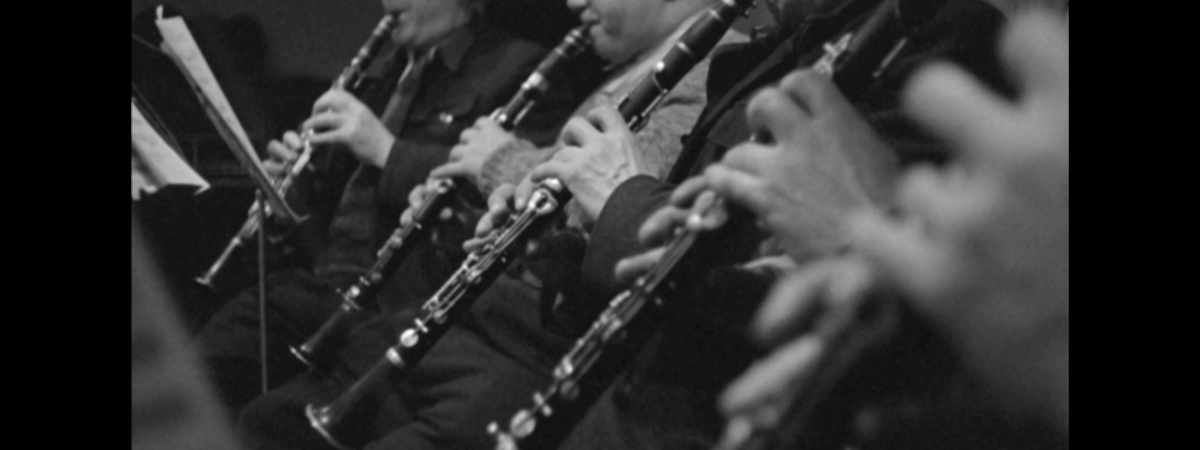 Muzikanti