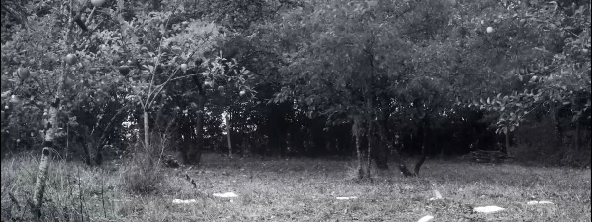 Příběhy rozkroku