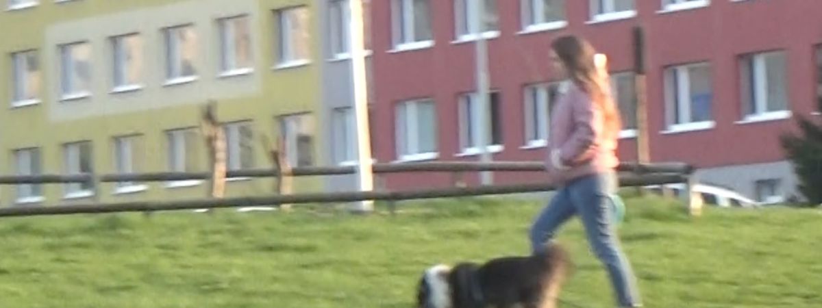 za jak dlouho začnou pejska pálit tlapičky když vystoupí na dálnici