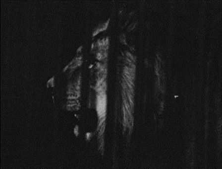 Marguerite Duras u lvů