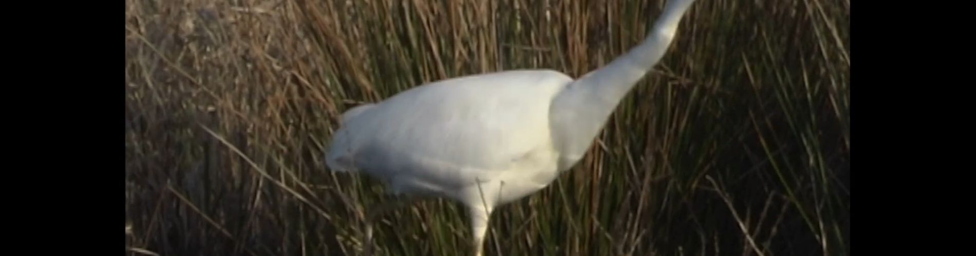 Včera jsme si užili