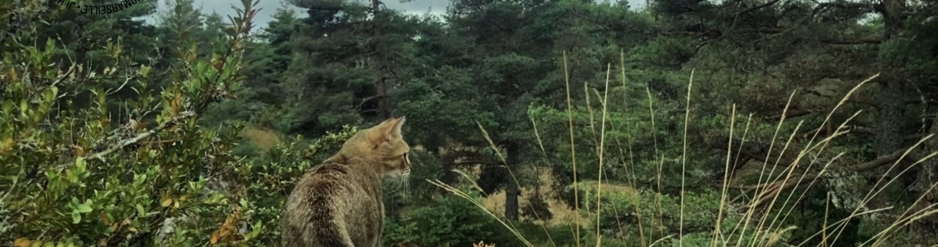 Včera jsme si užili