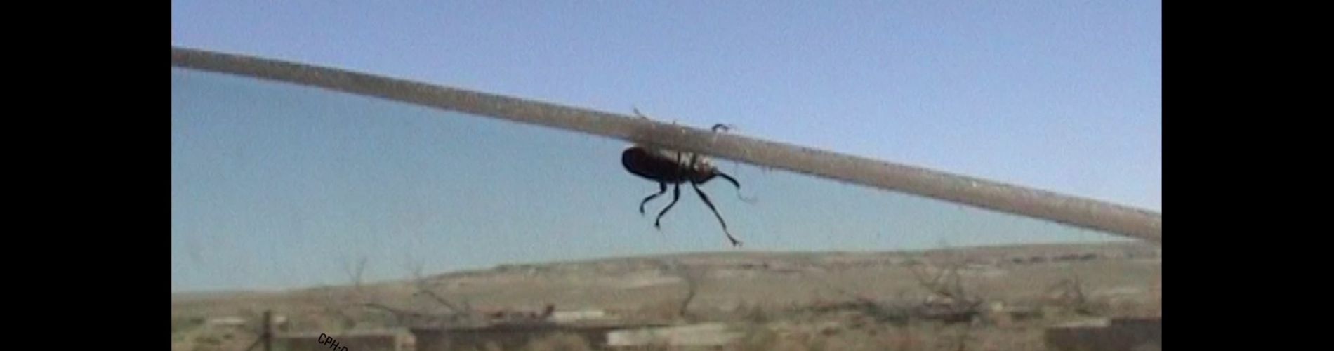 Včera jsme si užili