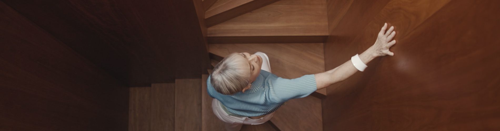 Zalesněná budoucnost