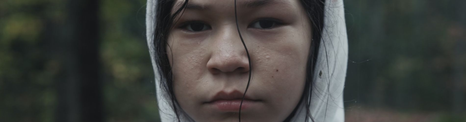 Zalesněná budoucnost