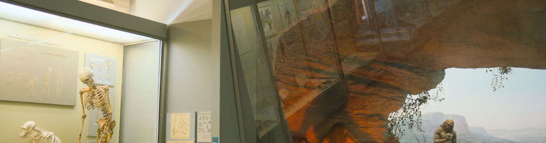 Hodina paleontologie
