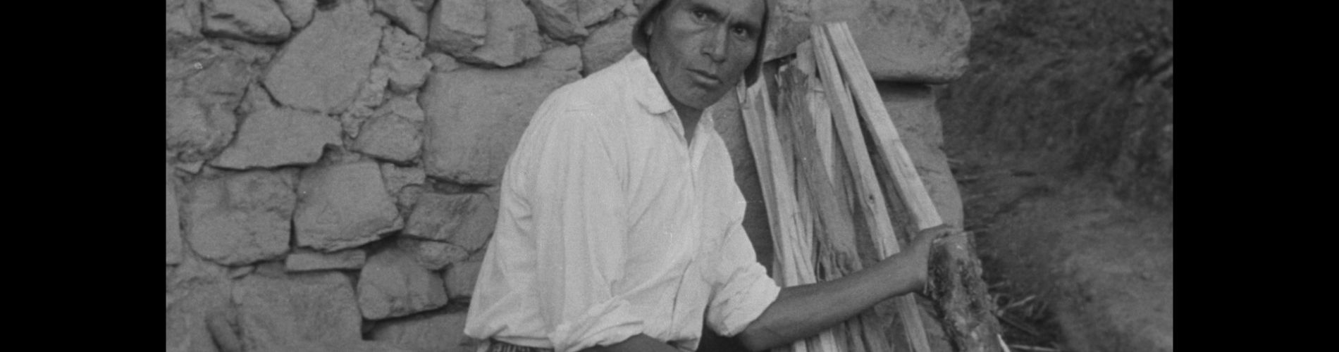 Krev kondora