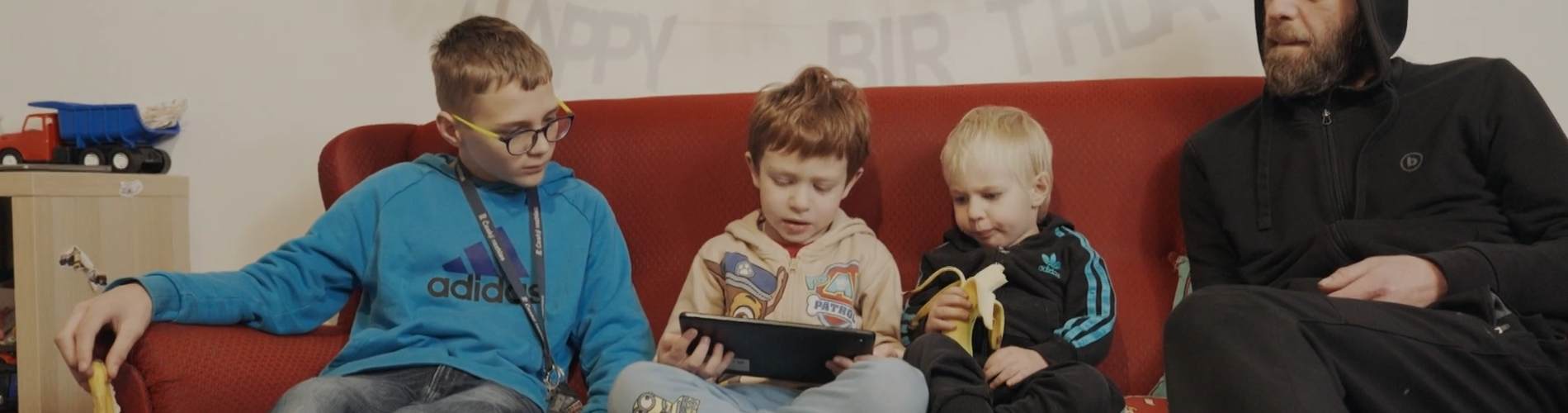 Dobrovolně neplodný