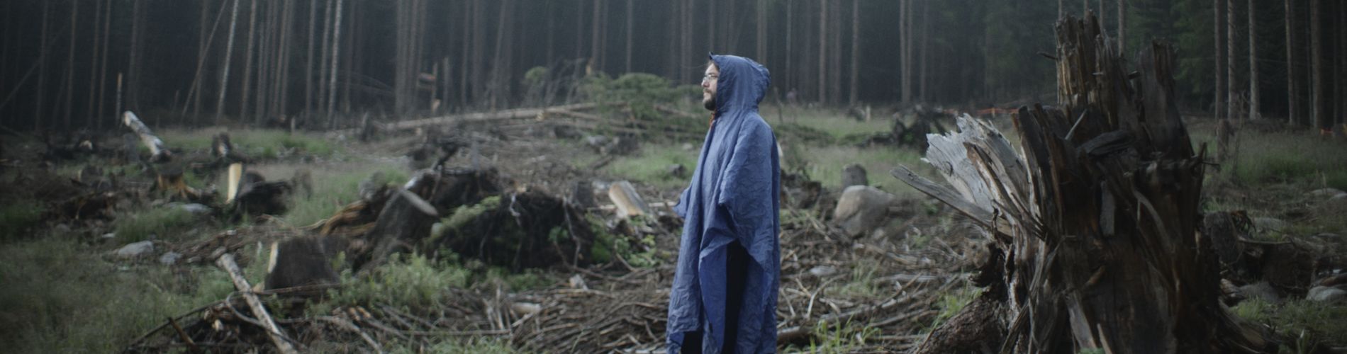 Kód lesa