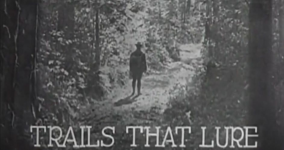 Stezky, které lákají (fragment)