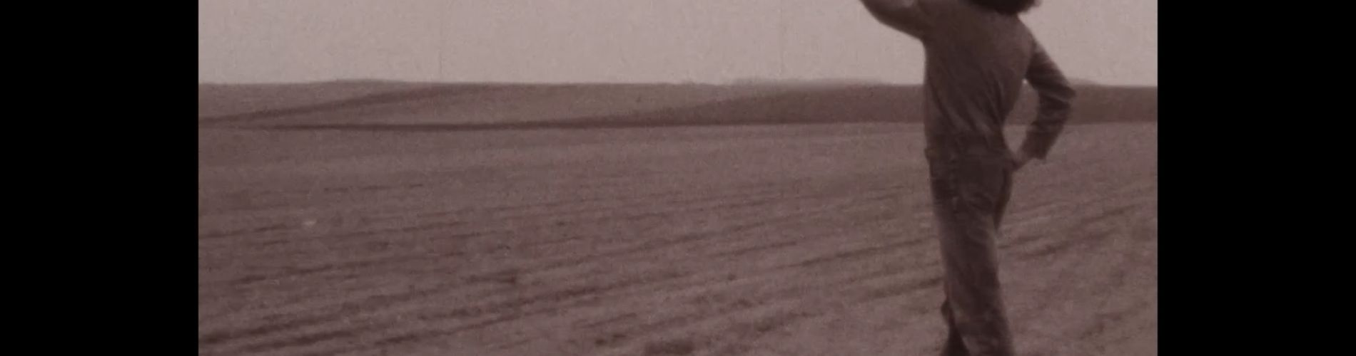 Svatební dar