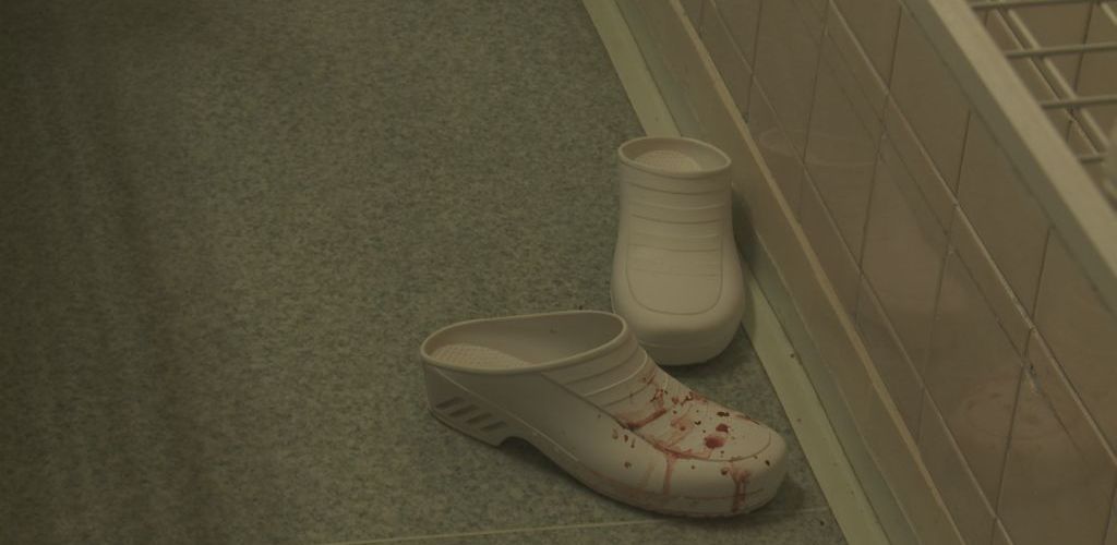 Český žurnál: Pět zrození