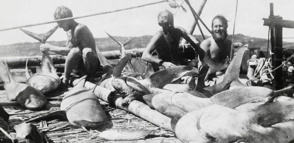 Ve znamení Kon-Tiki