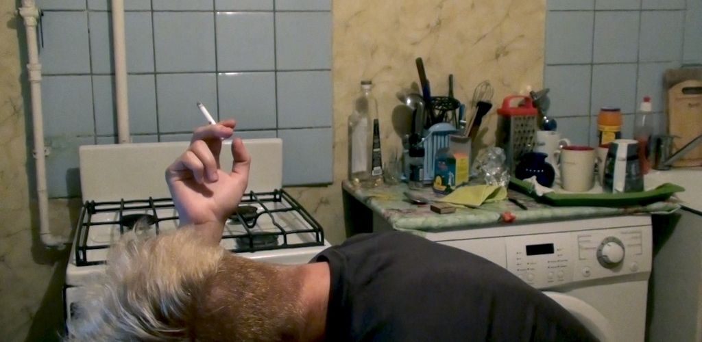 Motýli