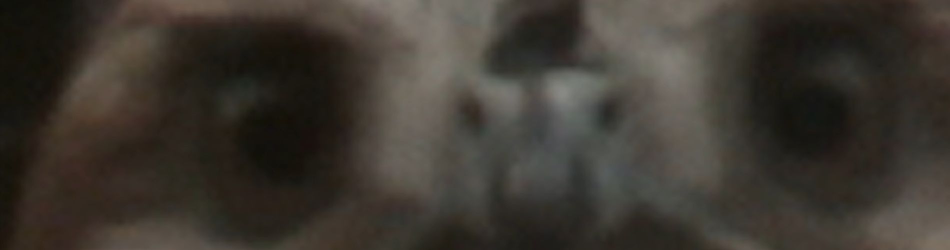 1/8