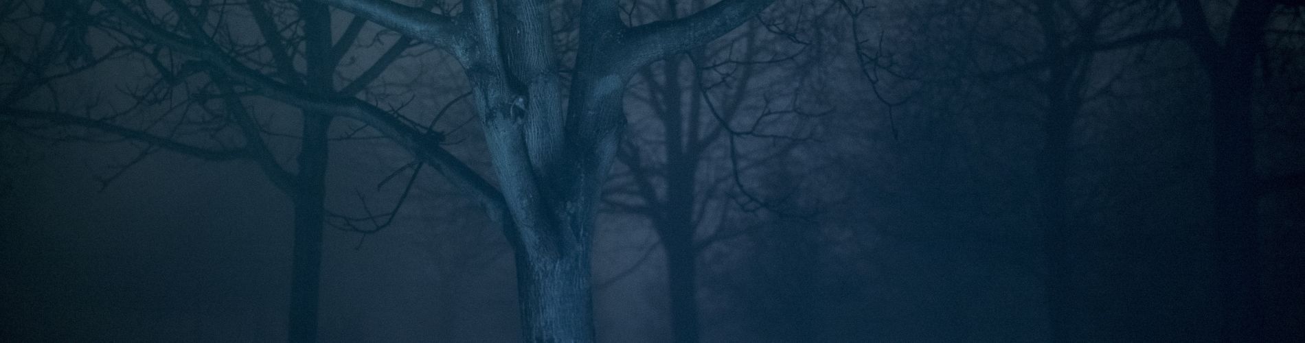 Umírání pro začátečníky / Tónina ticha