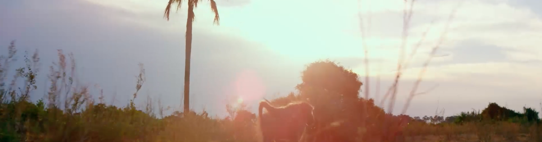 Po Okavangu