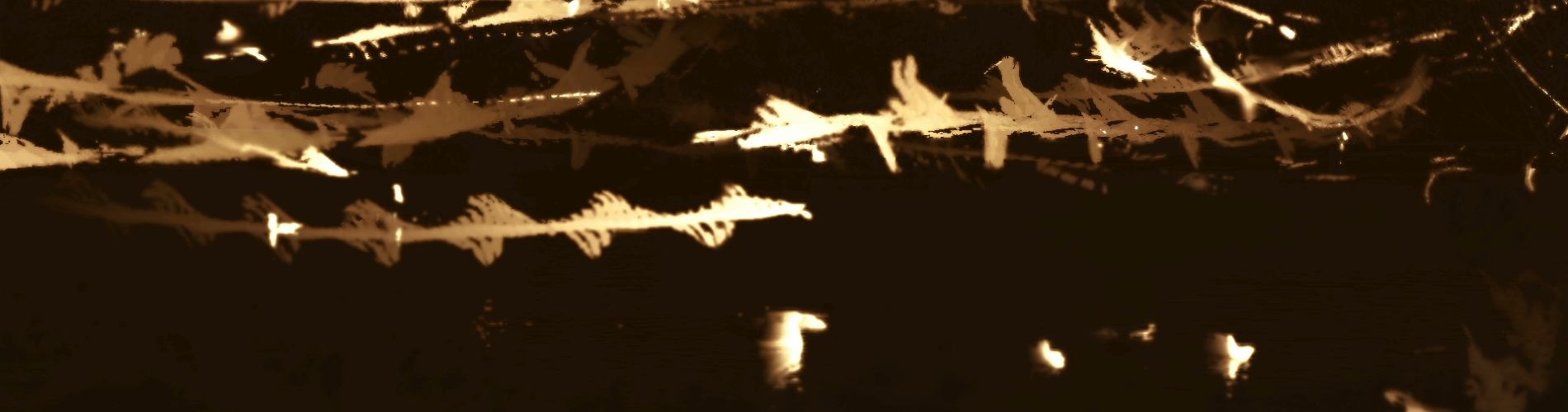 Zlostný houf