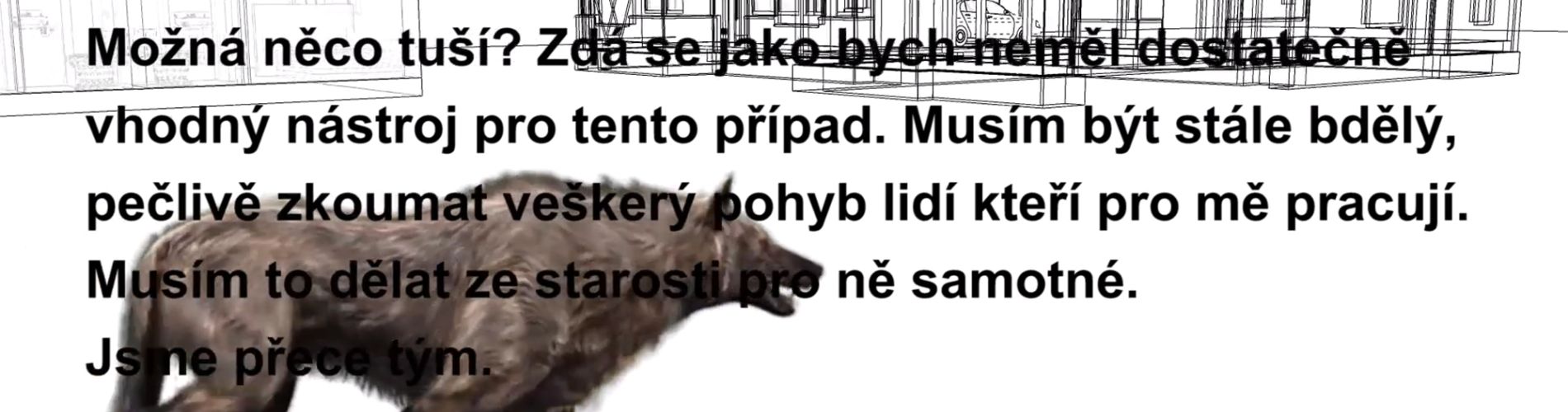Canis Lupus