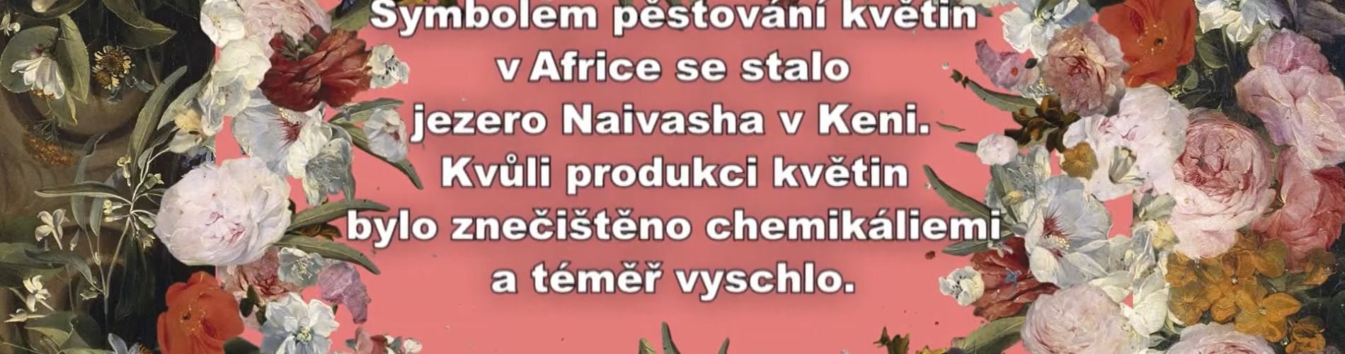 Nedej se: Květinová globalizace