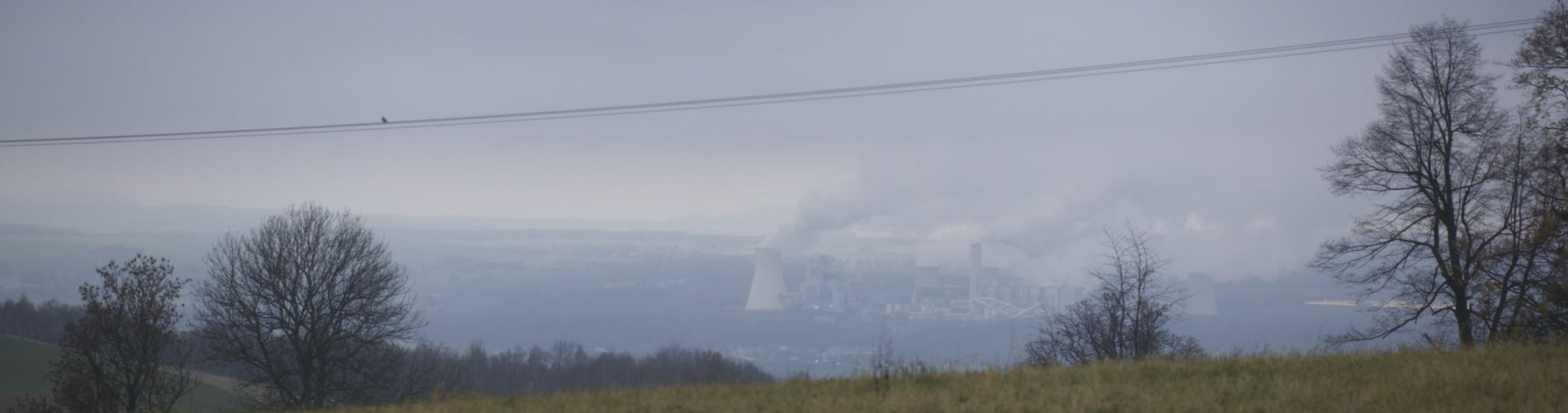 Všechno v pořádku, brambory na řádku