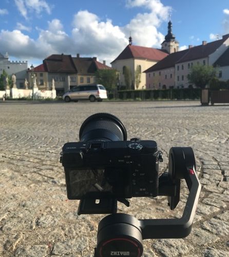 Lesní žal