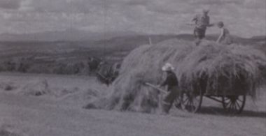 Farma Windy Ledge