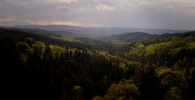 Králové Šumavy