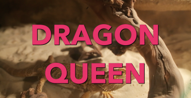 Dragon Queen