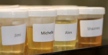 The Great British Urine Test