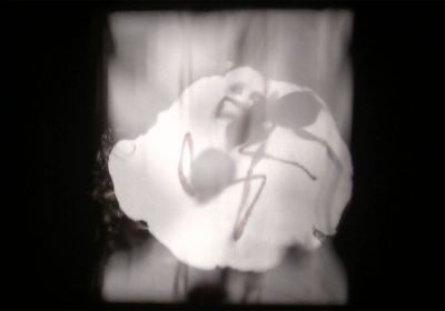 ANTFILM