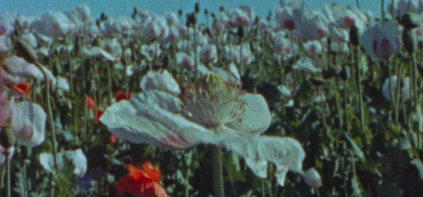 Apokalypsa včera, dnes, zítra a pozítří