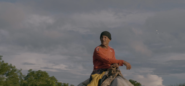 A bouře snila o koních