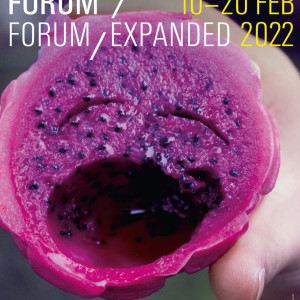 Kliknutím zvětšíte 24_Berlinale Forum