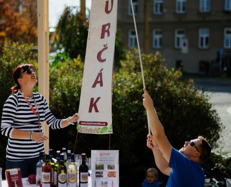 Kliknutím zvětšíte